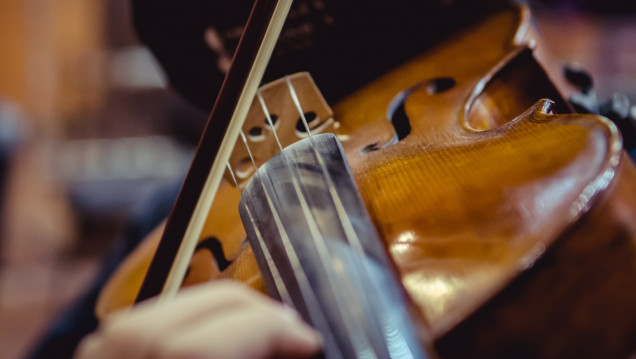 imagen Se abre concurso de viola en la OSUNCuyo