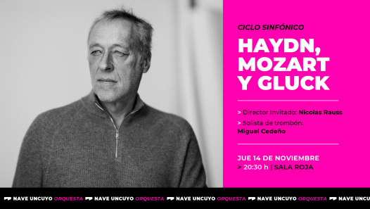 imagen CICLO SINFONICO: Haydn, Mozart y Gluck